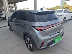 2023 BYD Dolphin 420km Fashion — фото 5