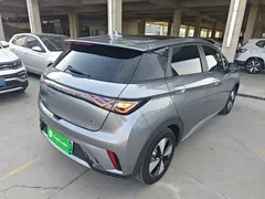 2023 BYD Dolphin 420km Fashion — фото 7