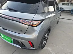 2023 BYD Dolphin 420km Fashion — фото 8
