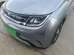 2023 BYD Dolphin 420km Fashion — фото 24