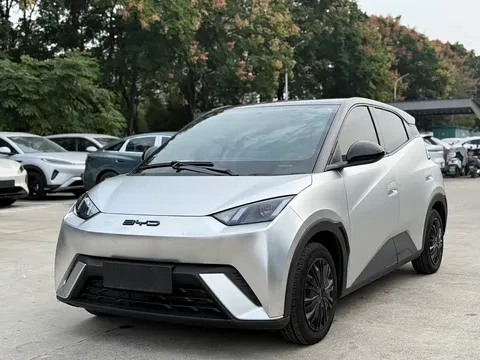 2024 BYD Seagull Honor 305km Vitality
