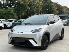 2024 BYD Seagull Honor 305km Vitality — фото 1
