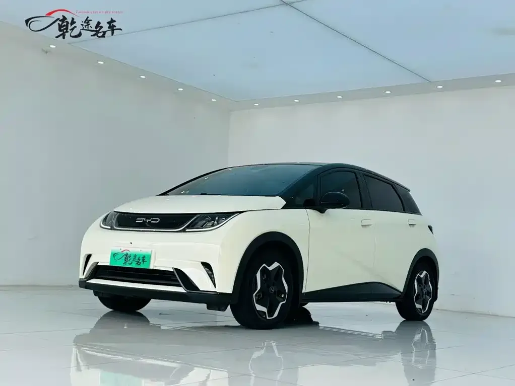 2021 BYD Dolphin 405km Fashion