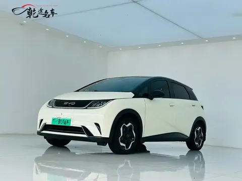 2021 BYD Dolphin 405km Fashion