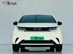 2021 BYD Dolphin 405km Fashion — фото 2