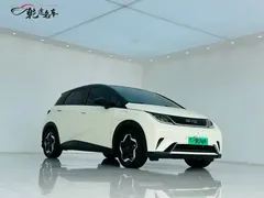 2021 BYD Dolphin 405km Fashion — фото 3