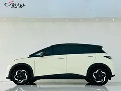 2021 BYD Dolphin 405km Fashion — фото 4