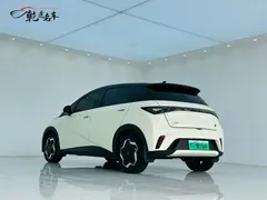 2021 BYD Dolphin 405km Fashion — фото 5
