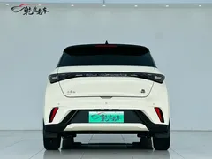 2021 BYD Dolphin 405km Fashion — фото 6