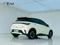 2021 BYD Dolphin 405km Fashion — фото 7