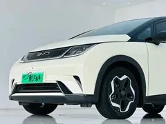 2021 BYD Dolphin 405km Fashion — фото 8