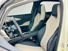 2021 BYD Dolphin 405km Fashion — фото 21
