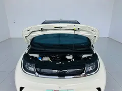 2021 BYD Dolphin 405km Fashion — фото 24