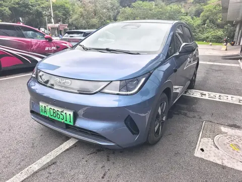 2025 BYD Dolphin Smart Driving 410km Fashion