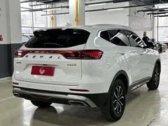 2021 Haval H6 1.5T AT Urban, белый — фото 18