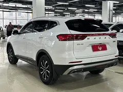 2021 Haval H6 1.5T AT Urban, белый — фото 19