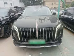 2024 Hongqi HS7 2.0T PHEV 4WD 7, чёрный — фото 3