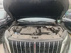 2024 Hongqi HS7 2.0T PHEV 4WD 7, чёрный — фото 20