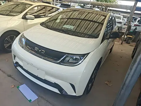 2023 BYD Dolphin 420km Fashion