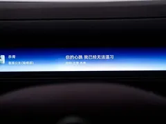 2026 Nio ES8 6-seat Executive Luxury, чёрный — фото 13