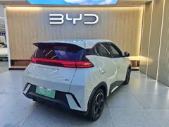 2023 BYD Seagull Flying — фото 4
