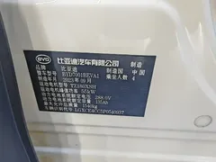 2023 BYD Seagull Flying — фото 7