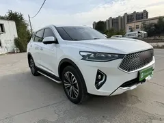 2020 Haval F7 1.5T 2WD Ku, белый — фото 15