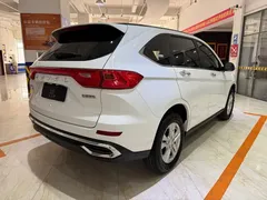 2023 Haval M6 Plus 1.5T MT Elite, белый — фото 4