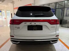 2023 Haval M6 Plus 1.5T MT Elite, белый — фото 5