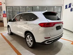 2023 Haval M6 Plus 1.5T MT Elite, белый — фото 6