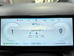2024 BYD Frigate 07 Honor Edition DM-i PHEV 100KM Elite — фото 13