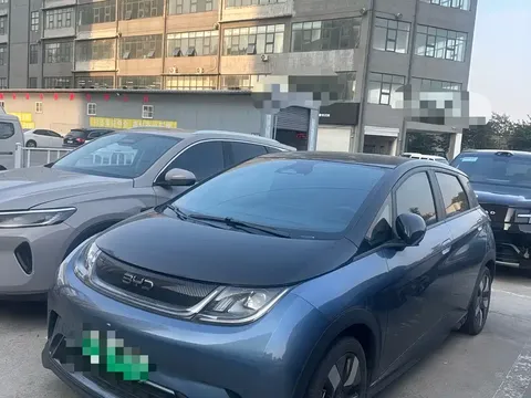 2025 BYD Dolphin EV 520km Knight