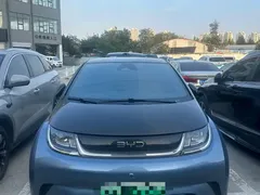 2025 BYD Dolphin EV 520km Knight, синий — фото 2
