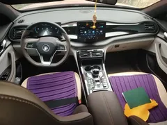 2024 BYD Qin PLUS Honor DM-i PHEV 55km Leading — фото 5