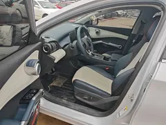 2022 BYD Yuan PLUS 510km Premium — фото 16