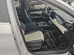 2022 BYD Yuan PLUS 510km Premium — фото 25