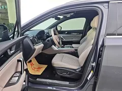 2024 BYD Tang PHEV DM-p Honor Edition 215km 4WD Premium — фото 4