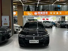 2021 BMW 5 Series 530Li Leading M Sport Package, чёрный — фото 15
