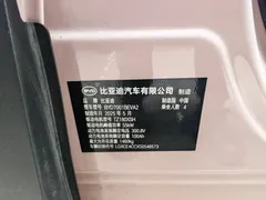 2025 BYD Seagull EV 305km — фото 13