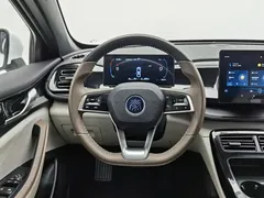 2023 BYD Qin PLUS Champion DM-i PHEV 55KM Leading, белый — фото 11