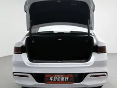 2023 BYD Qin PLUS Champion DM-i PHEV 55KM Leading, белый — фото 16