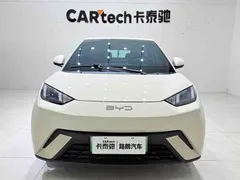 2024 BYD Seagull Honor 305km Vitality, белый — фото 2