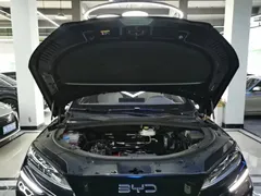 2025 BYD Song PLUS EV 605km Smart Drive Flagship, чёрный — фото 20