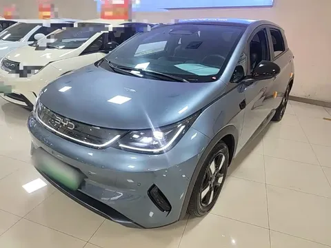 2025 BYD Dolphin Smart Driving 410km Fashion