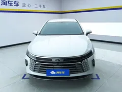 2024 BYD Destroyer 05 DM-i PHEV 55km Luxury, белый — фото 2
