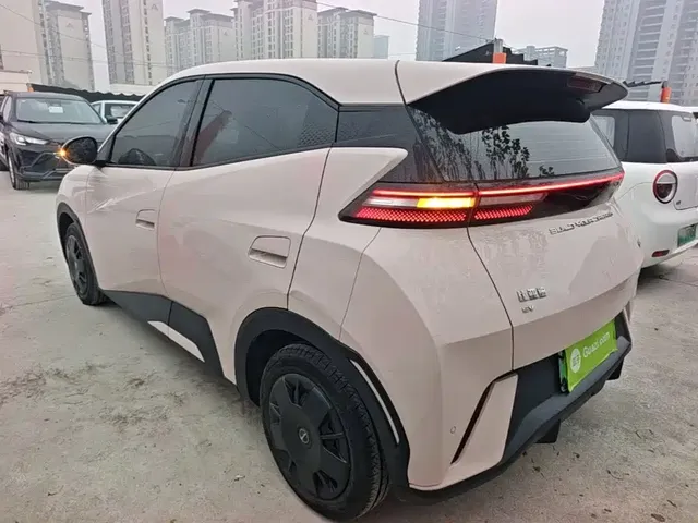 2023 BYD Seagull Vitality