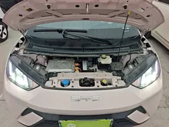 2023 BYD Seagull Vitality, чёрный — фото 20