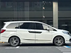 2019 Honda Elysion 2.0L Hybrid Luxury, белый — фото 11