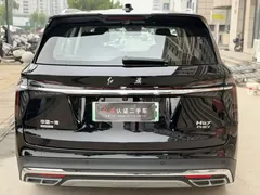 2024 Hongqi HS7 2.0T PHEV 4WD 6, чёрный — фото 9