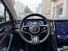 2024 Hongqi HS7 2.0T PHEV 4WD 6, чёрный — фото 15